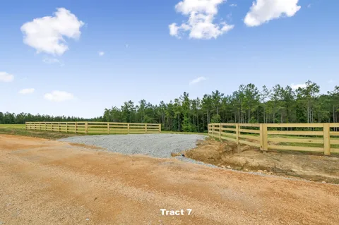 1420 Big Swan Creek Rd Tract 7
