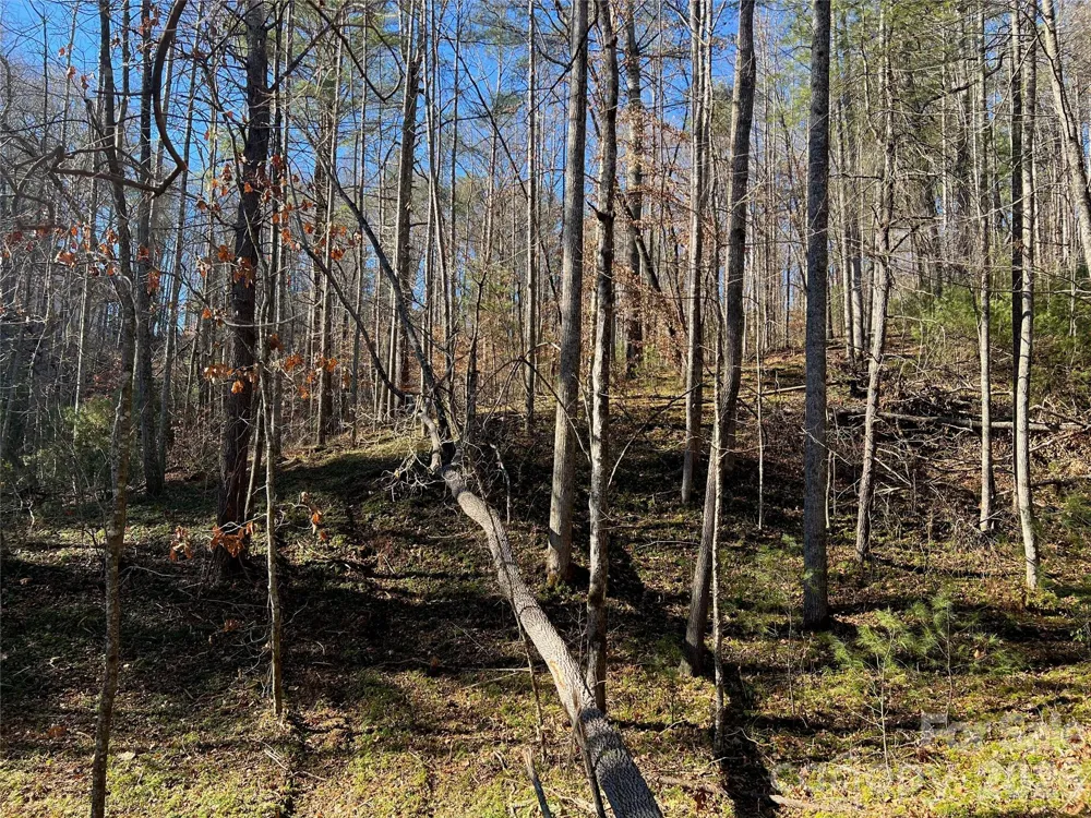 147 Falling Leaves Lane Hendersonville, NC 28792