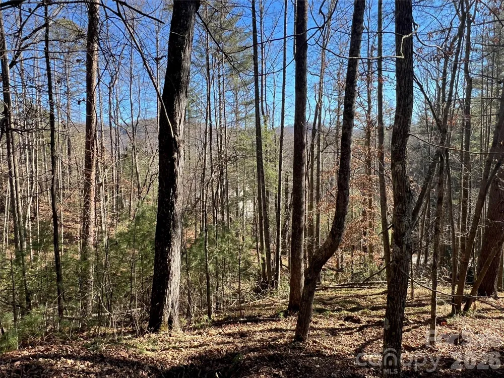 147 Falling Leaves Lane Hendersonville, NC 28792
