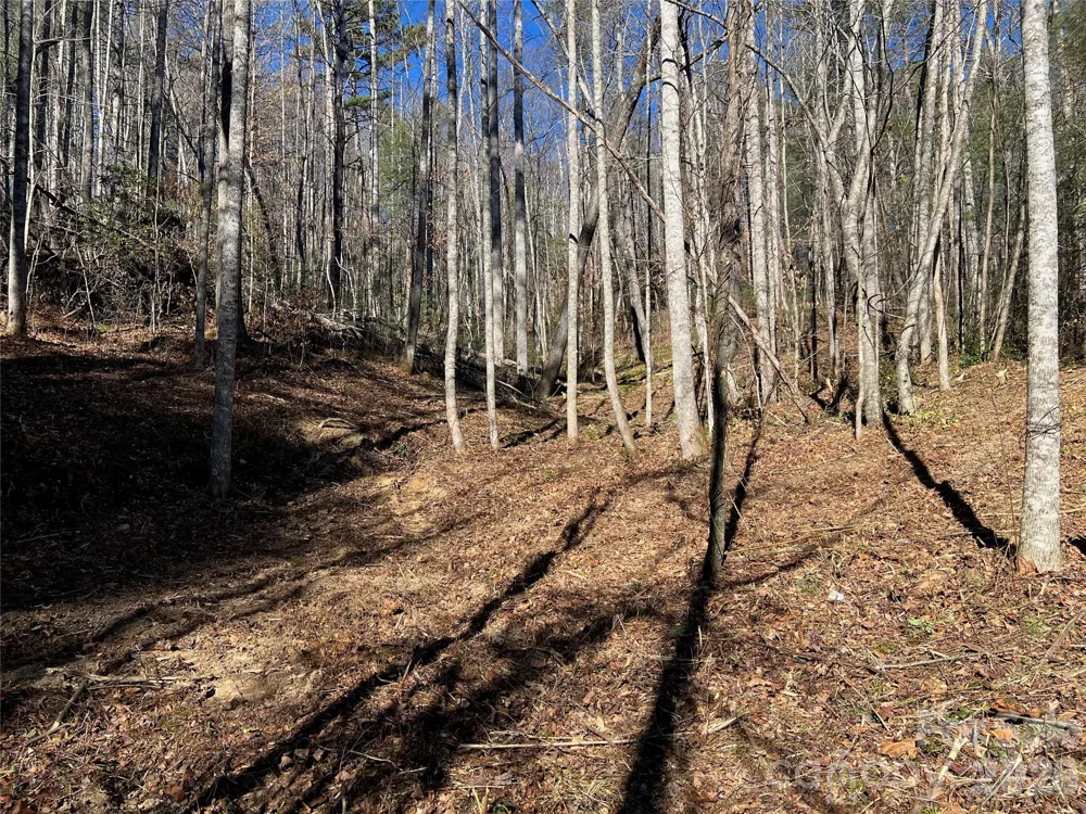 181 Falling Leaves Lane Hendersonville, NC 28792