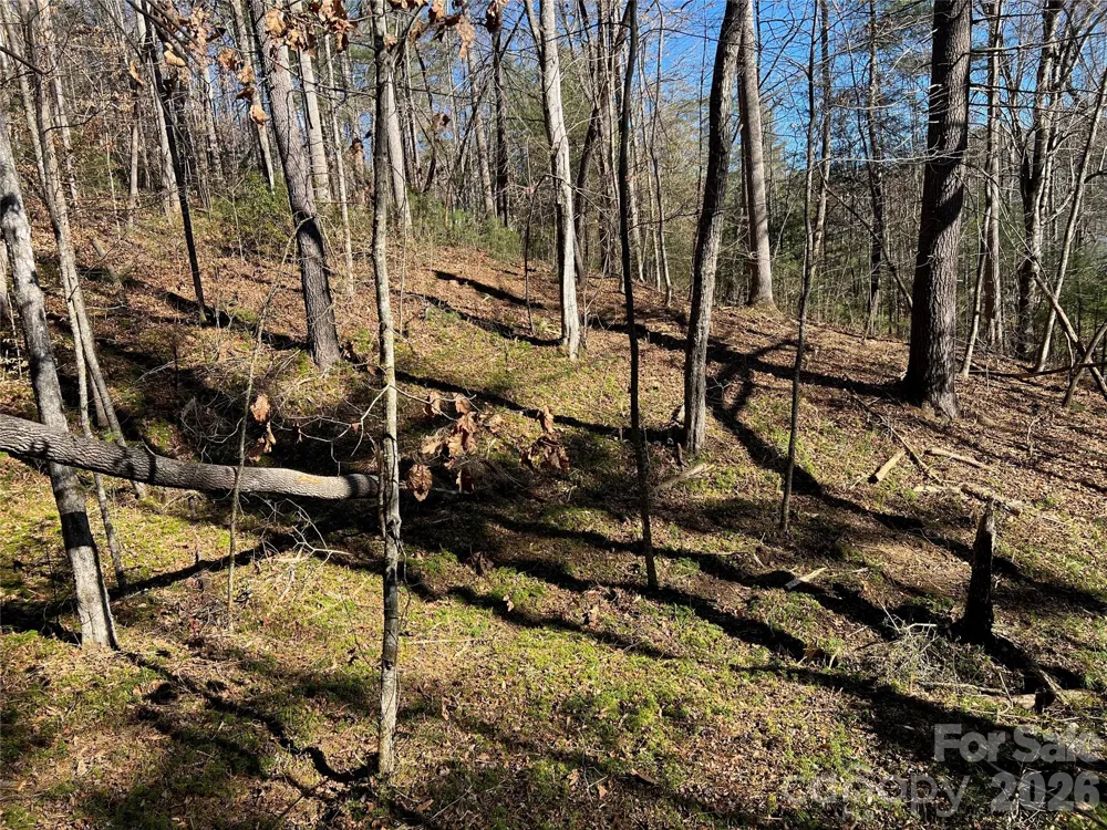 181 Falling Leaves Lane Hendersonville, NC 28792