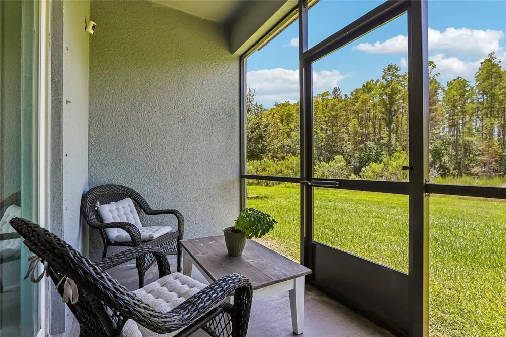 17448 RADIANT SHINE WAY Lutz, FL 33558