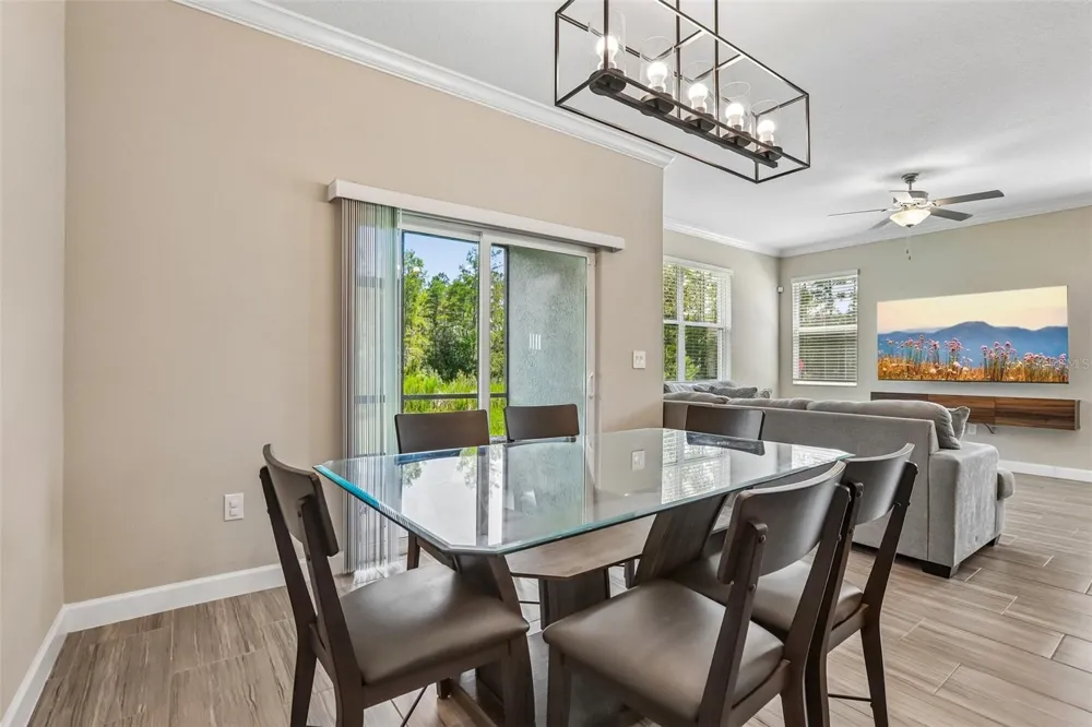 17448 RADIANT SHINE WAY Lutz, FL 33558