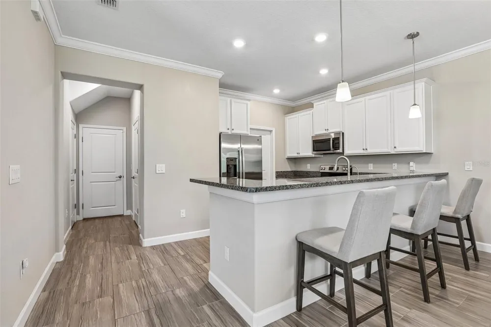 17448 RADIANT SHINE WAY Lutz, FL 33558