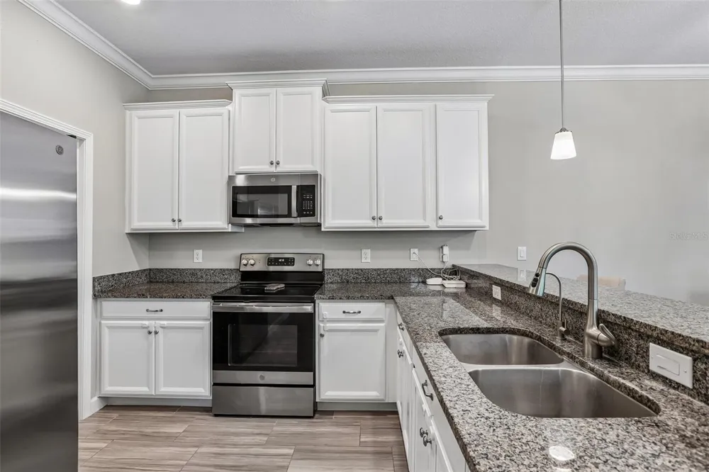 17448 RADIANT SHINE WAY Lutz, FL 33558