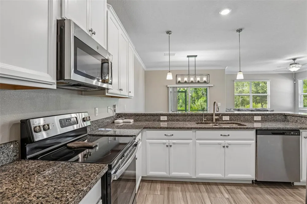 17448 RADIANT SHINE WAY Lutz, FL 33558