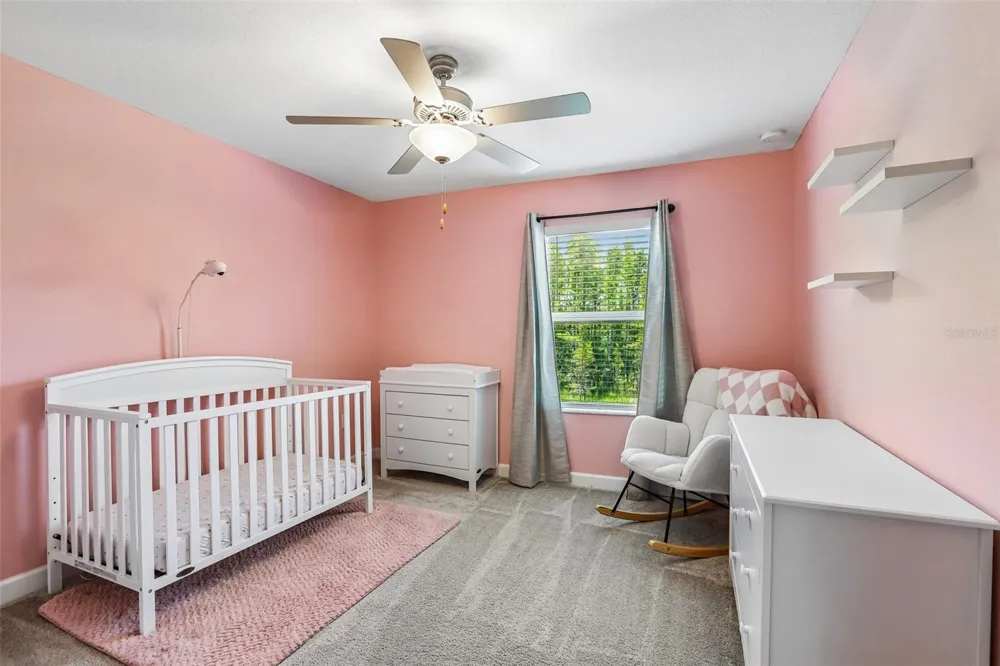 17448 RADIANT SHINE WAY Lutz, FL 33558