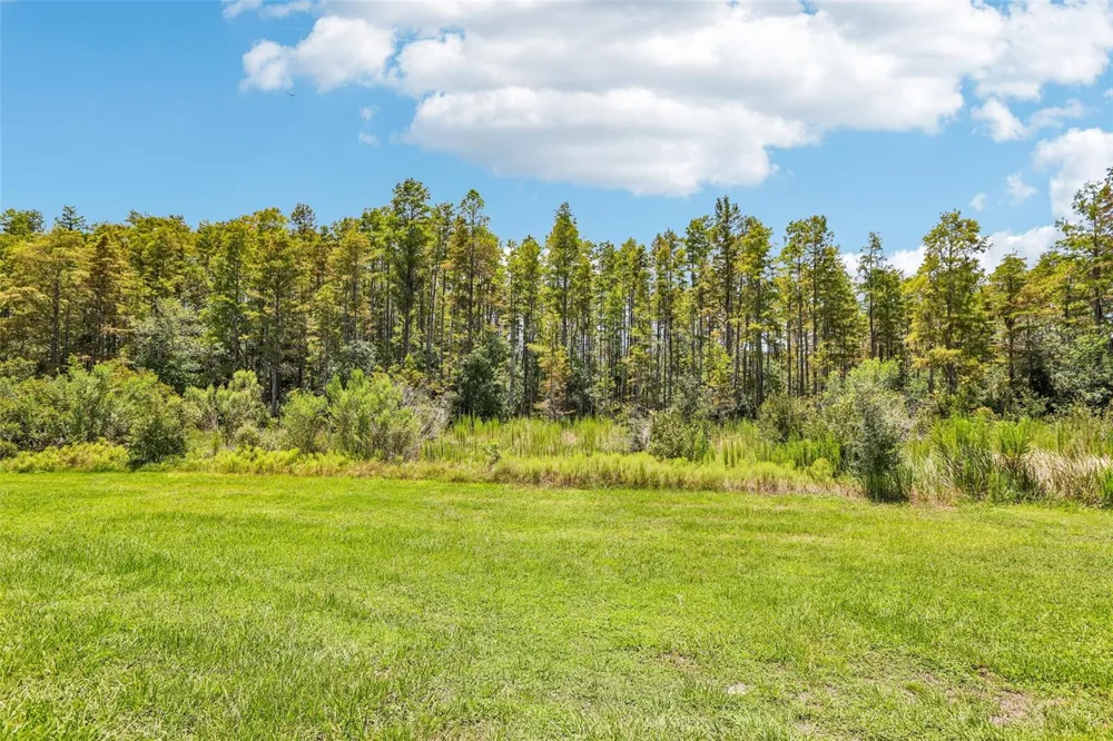 17448 RADIANT SHINE WAY Lutz, FL 33558