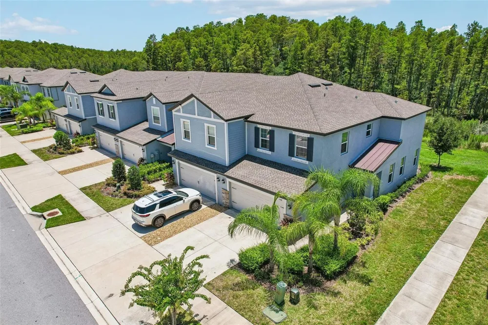 17448 RADIANT SHINE WAY Lutz, FL 33558