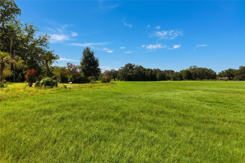 18951 SE 15TH STREET Williston, FL 32696
