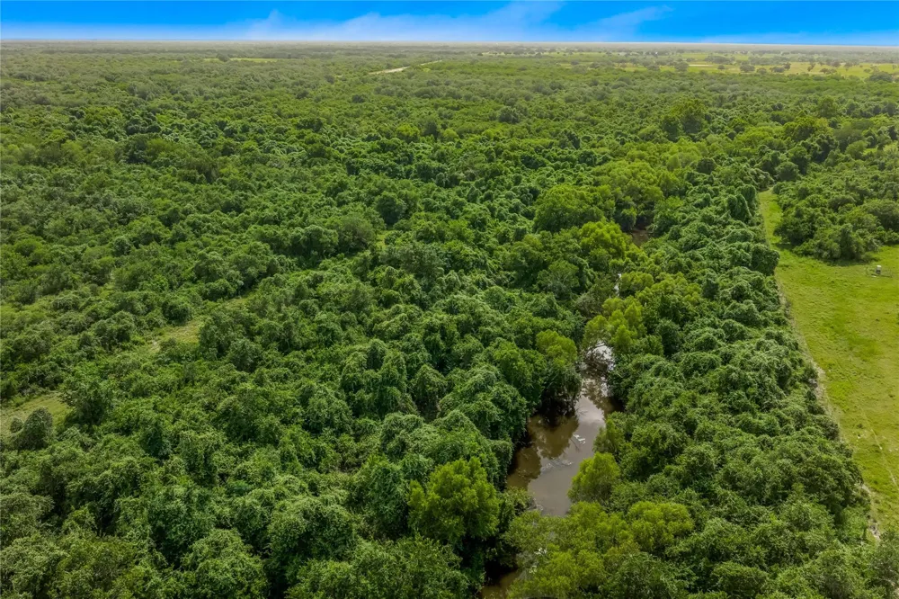 Mcguill Road Goliad, TX 77963