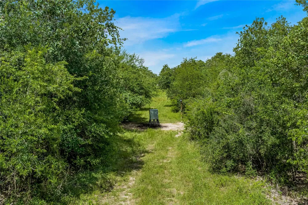 Mcguill Road Goliad, TX 77963