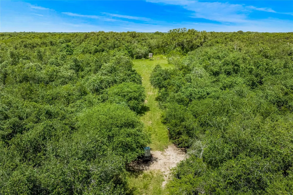 Mcguill Road Goliad, TX 77963