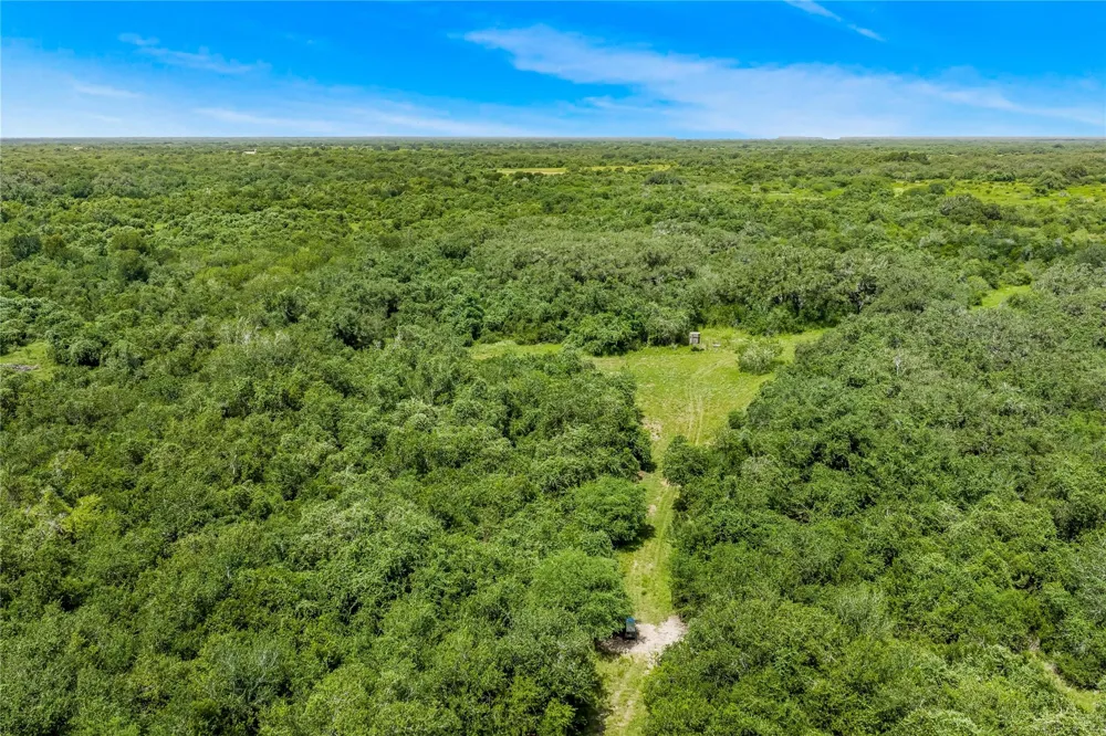 Mcguill Road Goliad, TX 77963