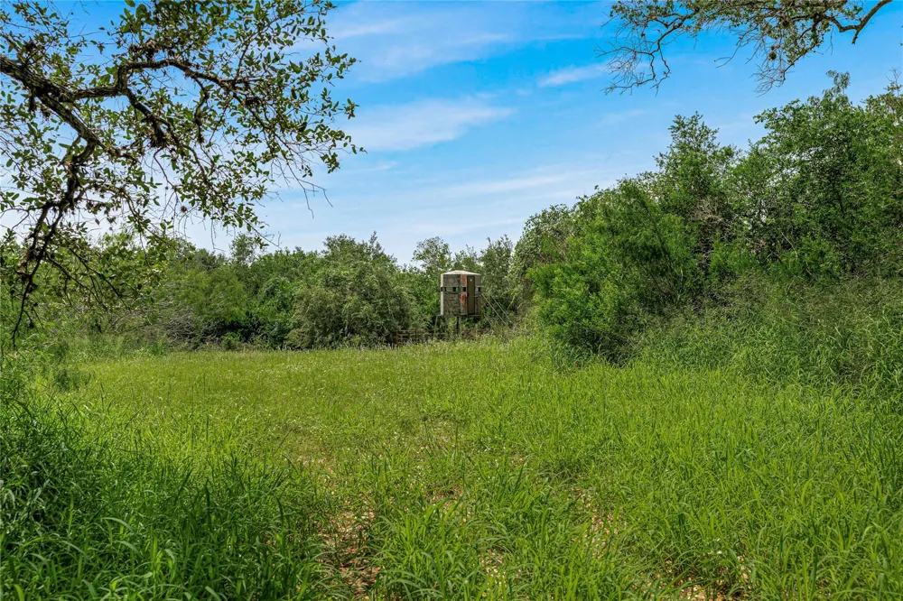 Mcguill Road Goliad, TX 77963