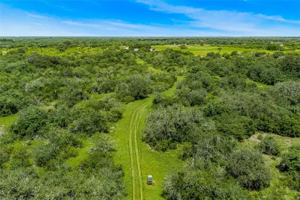 Mcguill Road Goliad, TX 77963
