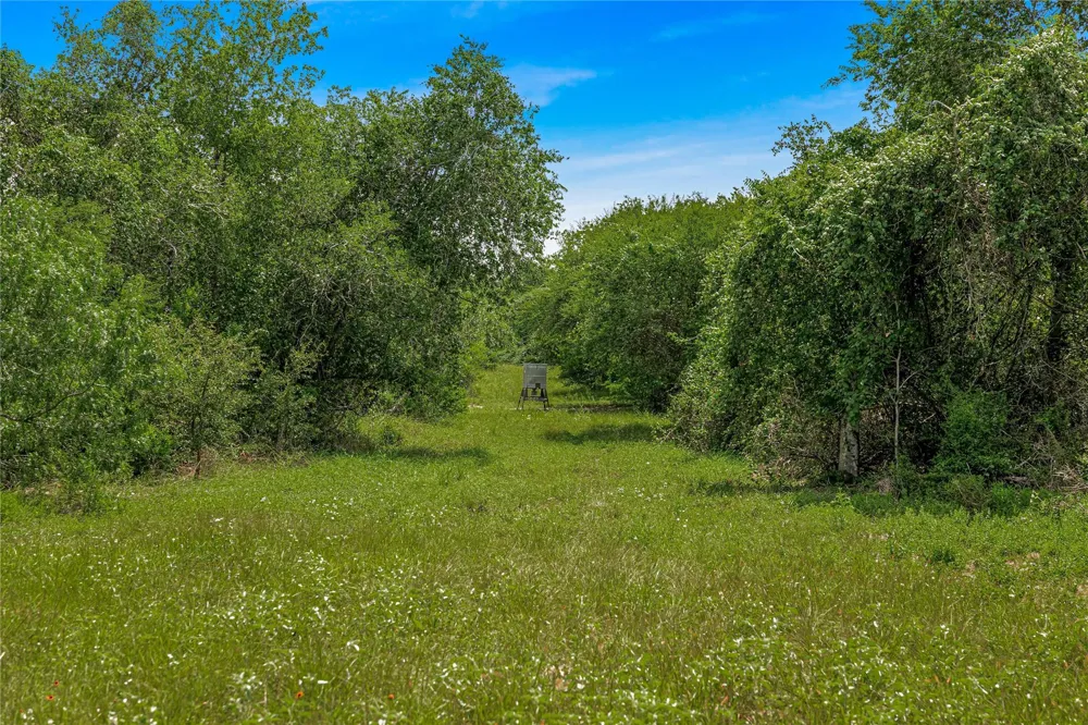 Mcguill Road Goliad, TX 77963