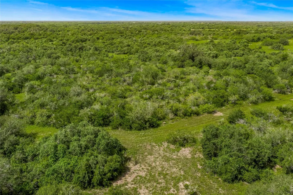 Mcguill Road Goliad, TX 77963