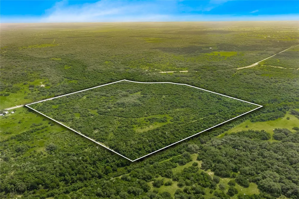 Mcguill Road Goliad, TX 77963