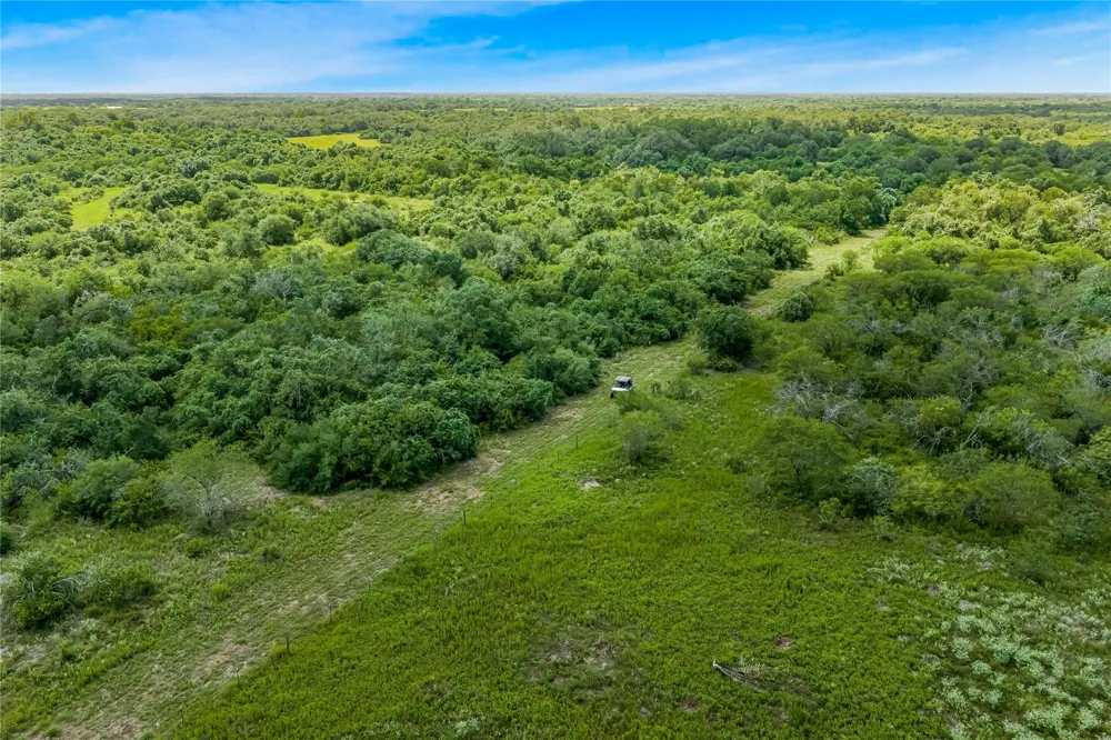 Mcguill Road Goliad, TX 77963