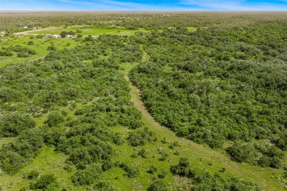 Mcguill Road Goliad, TX 77963