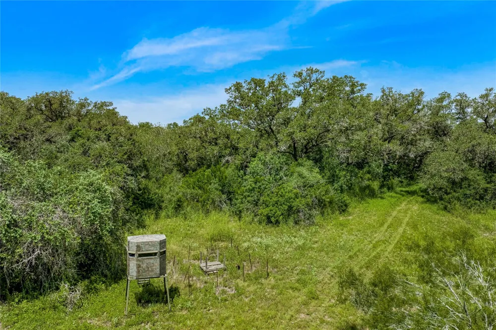 Mcguill Road Goliad, TX 77963