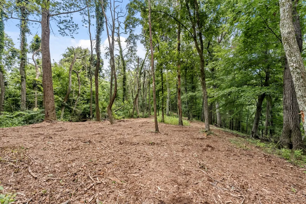 0 Carters Creek Pike Franklin, TN 37064