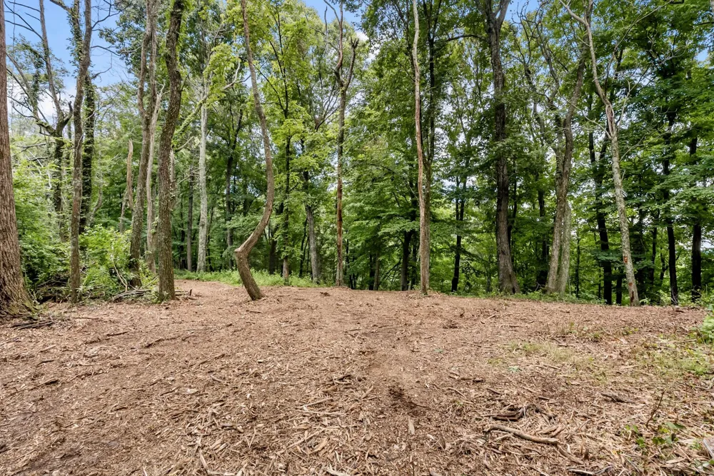 0 Carters Creek Pike Franklin, TN 37064