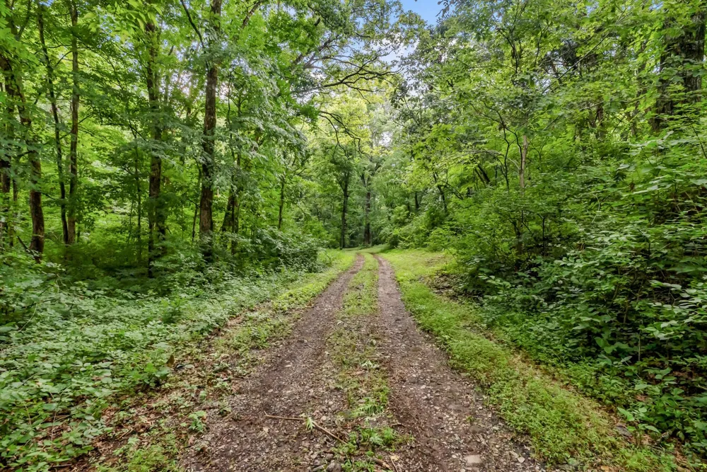 0 Carters Creek Pike Franklin, TN 37064