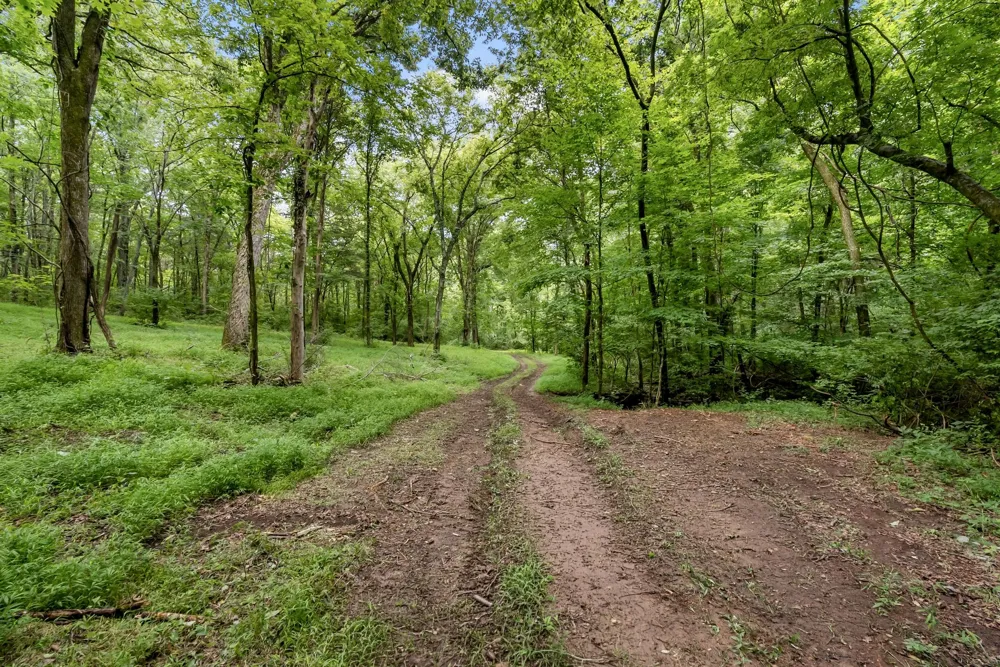 0 Carters Creek Pike Franklin, TN 37064