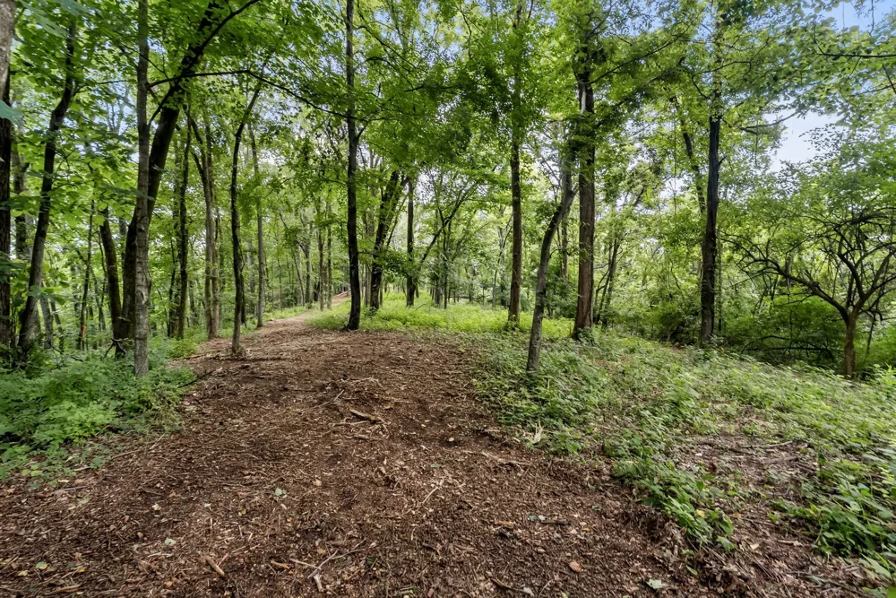 0 Carters Creek Pike Franklin, TN 37064