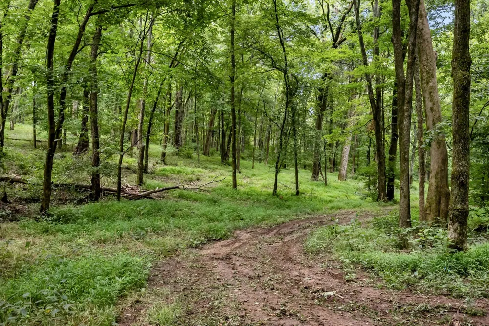0 Carters Creek Pike Franklin, TN 37064