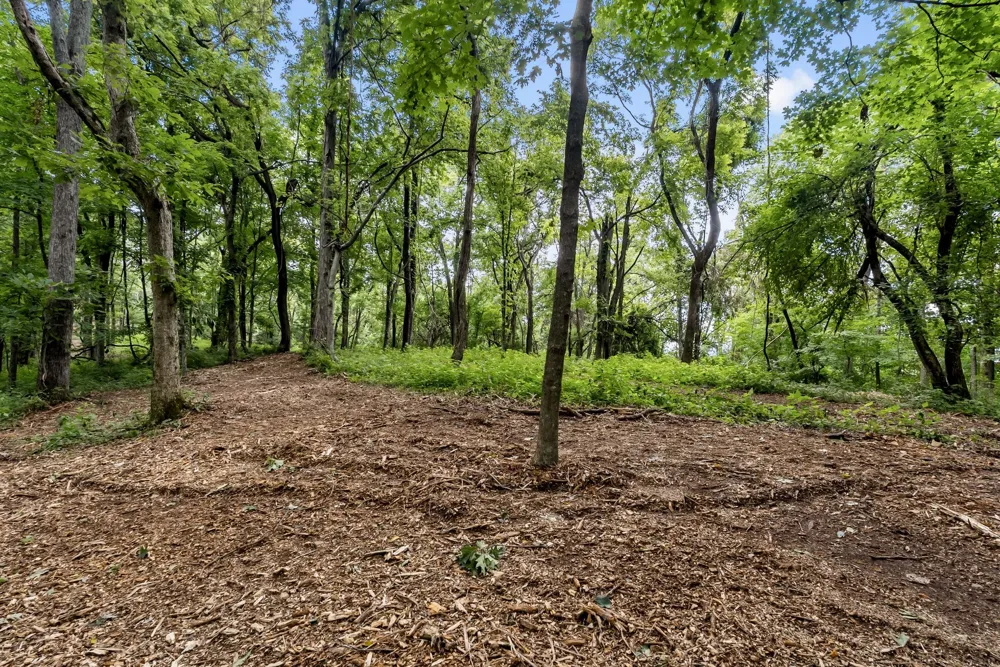 0 Carters Creek Pike Franklin, TN 37064