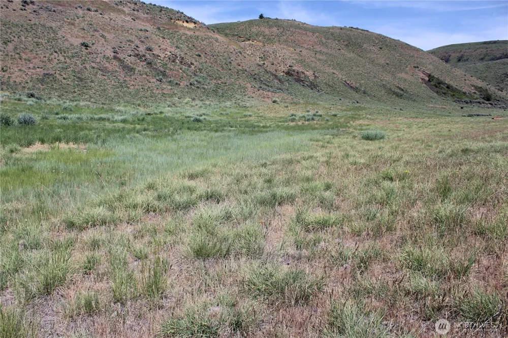 5 Combine Rd. Orondo, WA 98843