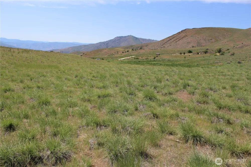 5 Combine Rd. Orondo, WA 98843