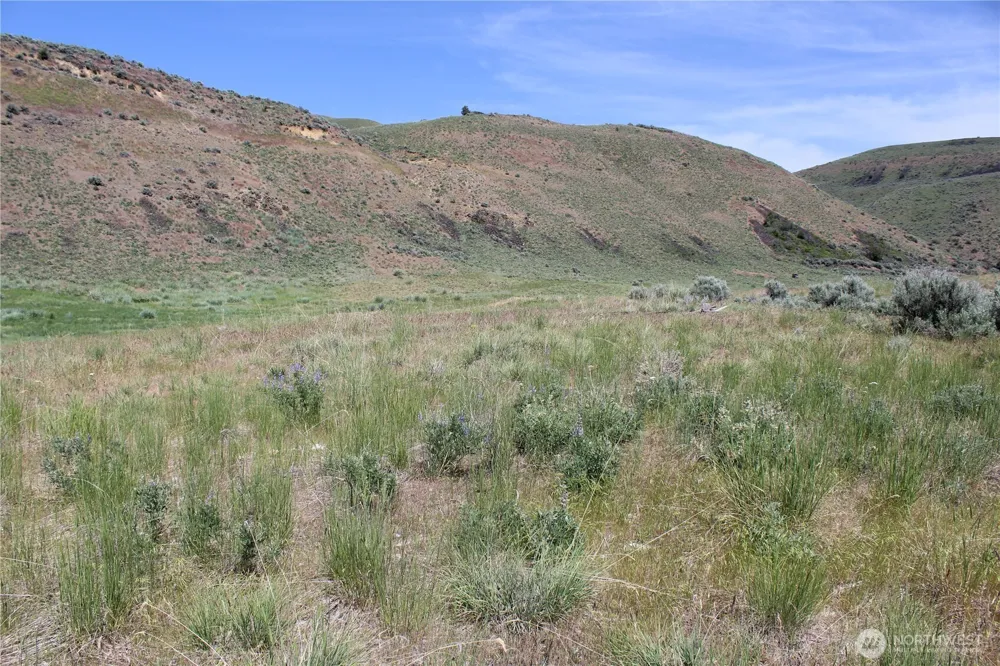 5 Combine Rd. Orondo, WA 98843