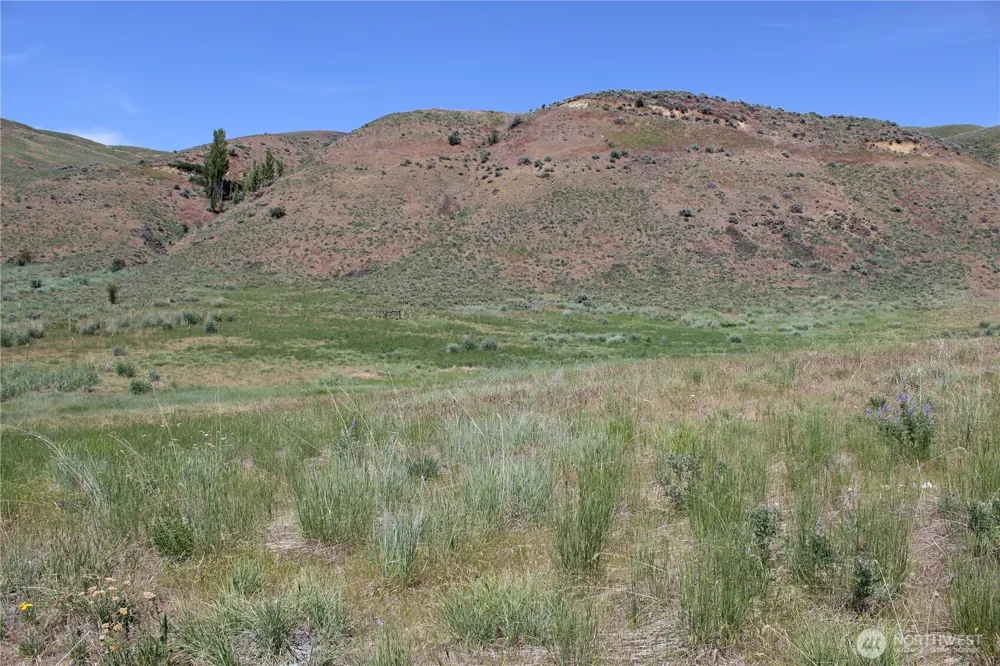 5 Combine Rd. Orondo, WA 98843