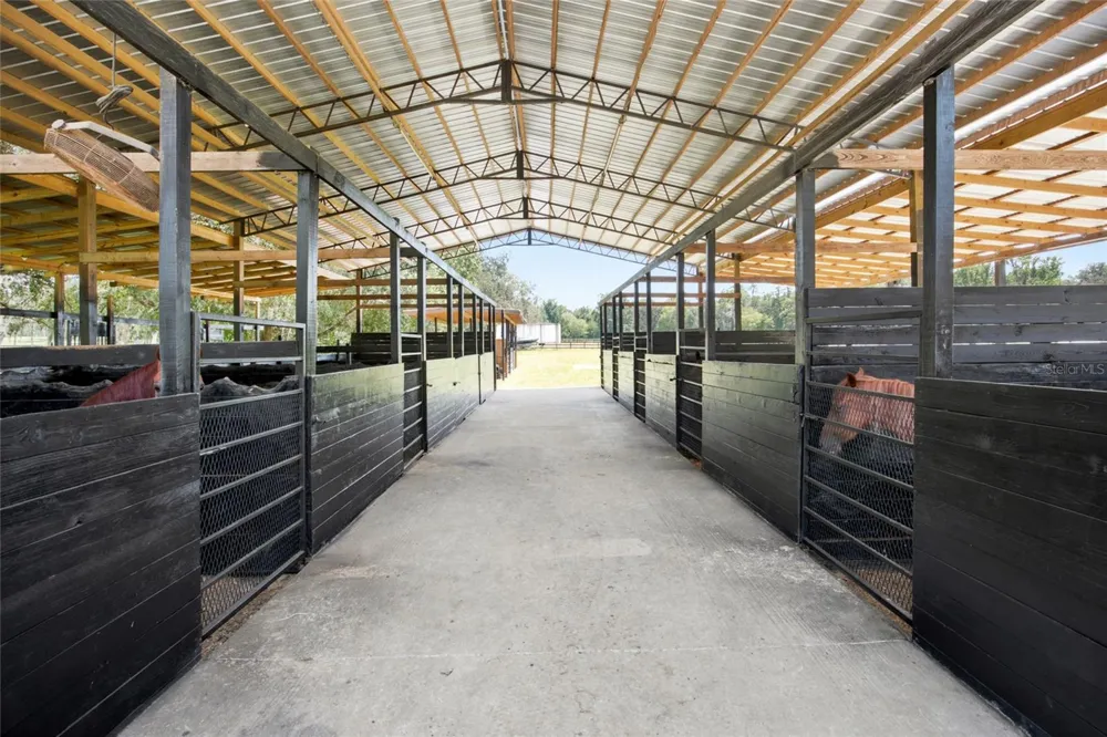 3875 SE 118TH LANE Belleview, FL 34420
