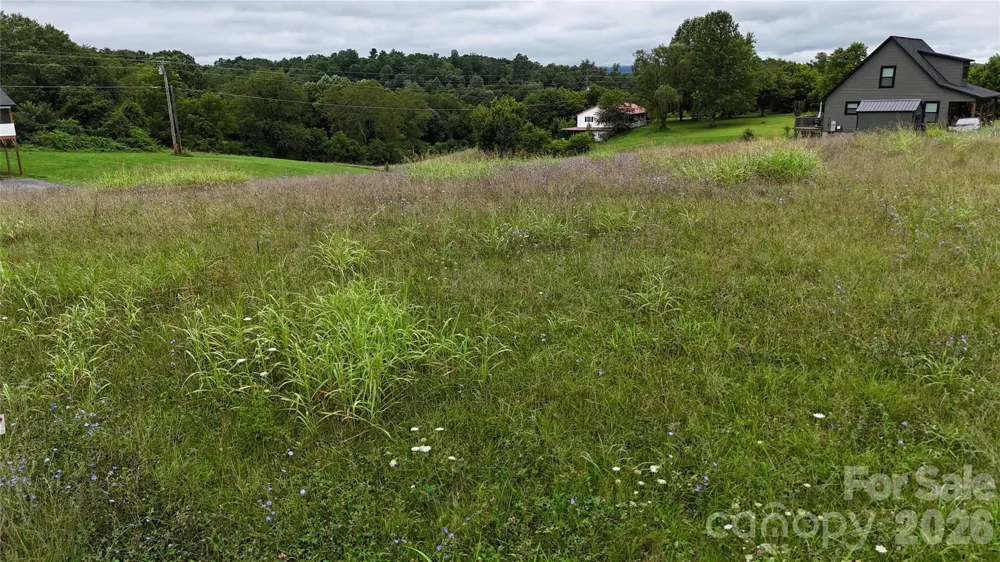 1013 Alexander Road Leicester, NC 28748