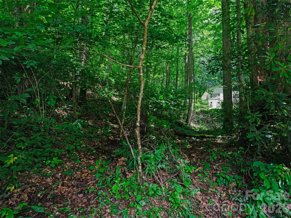 0000 Deep Gap Road Burnsville, NC 28714