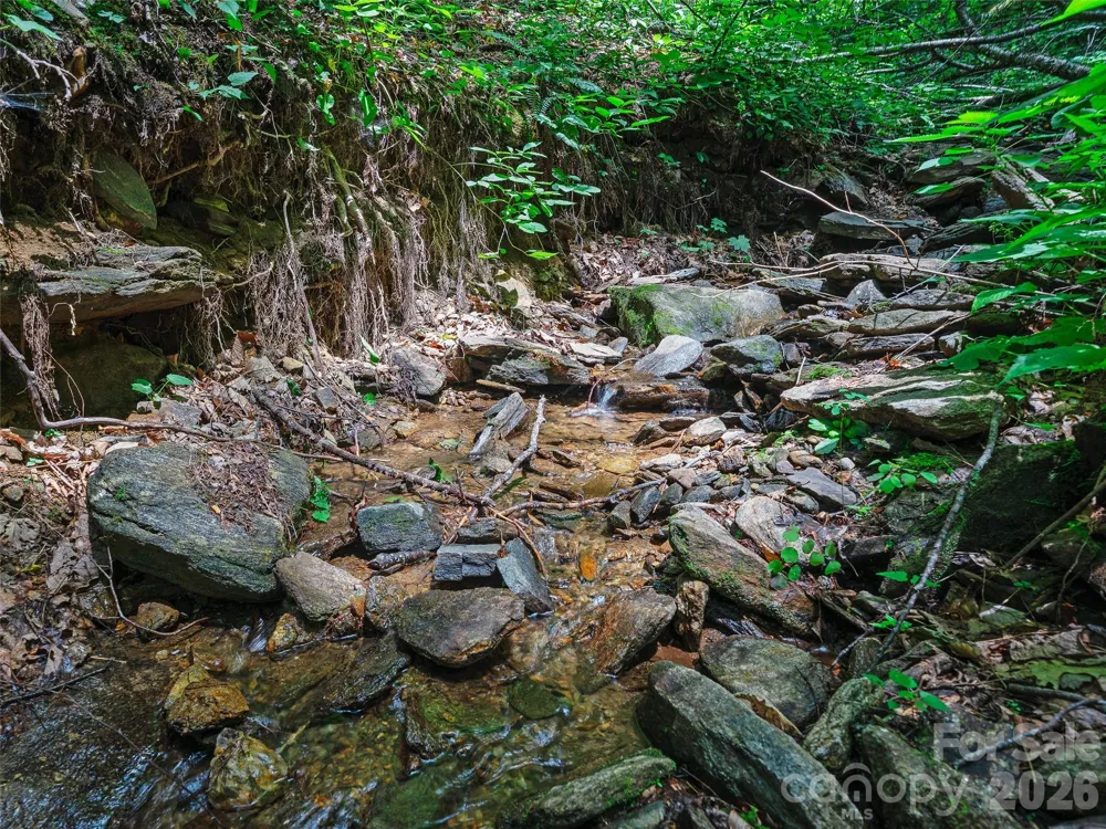 0000 Deep Gap Road Burnsville, NC 28714