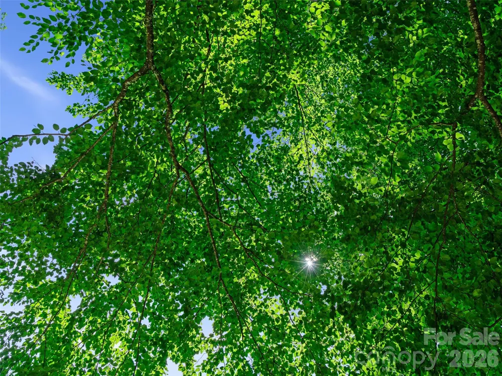 0000 Deep Gap Road Burnsville, NC 28714