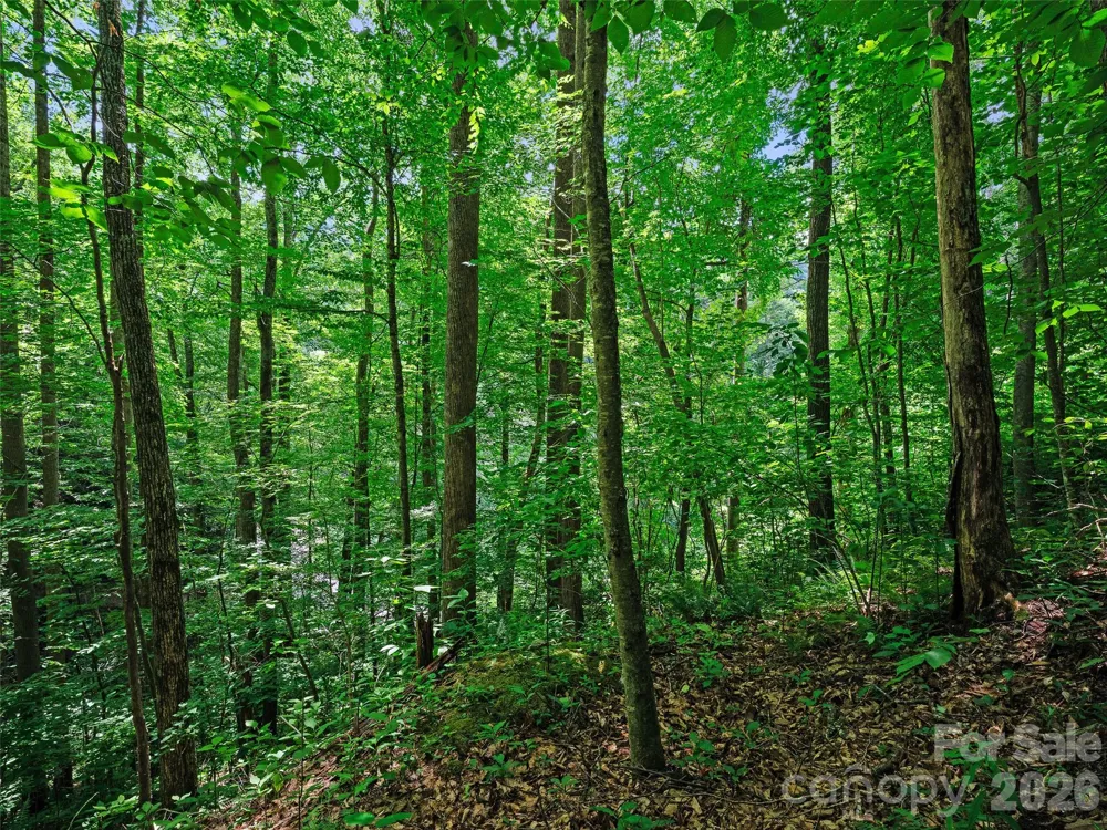0000 Deep Gap Road Burnsville, NC 28714
