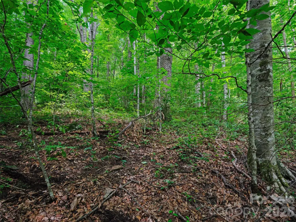 0000 Deep Gap Road Burnsville, NC 28714