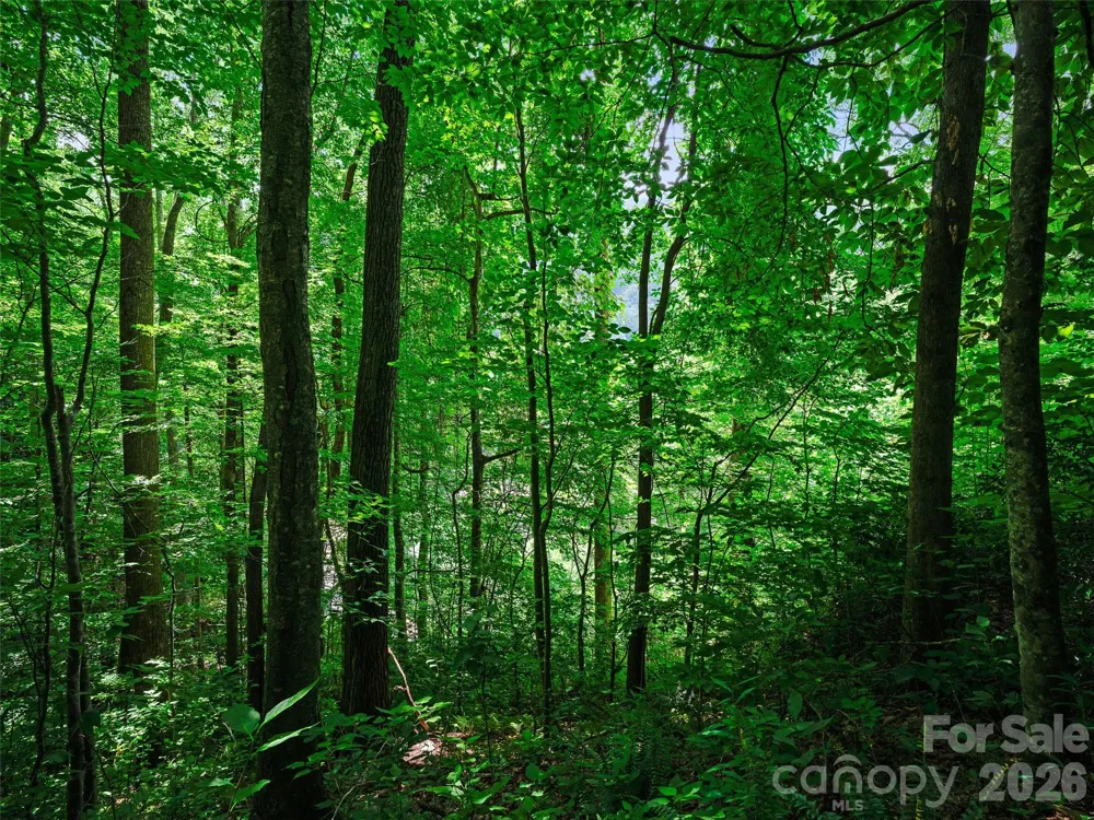0000 Deep Gap Road Burnsville, NC 28714