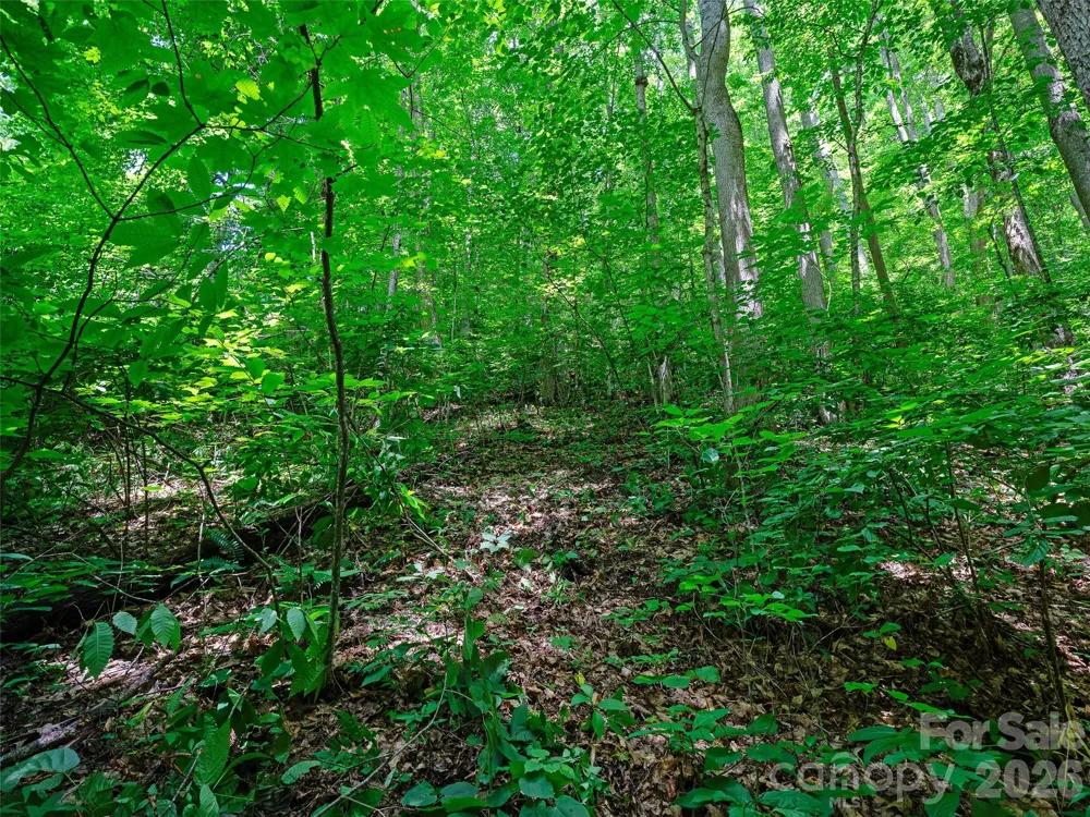 0000 Deep Gap Road Burnsville, NC 28714