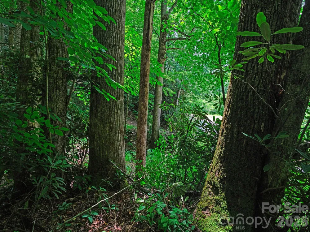 0000 Deep Gap Road Burnsville, NC 28714