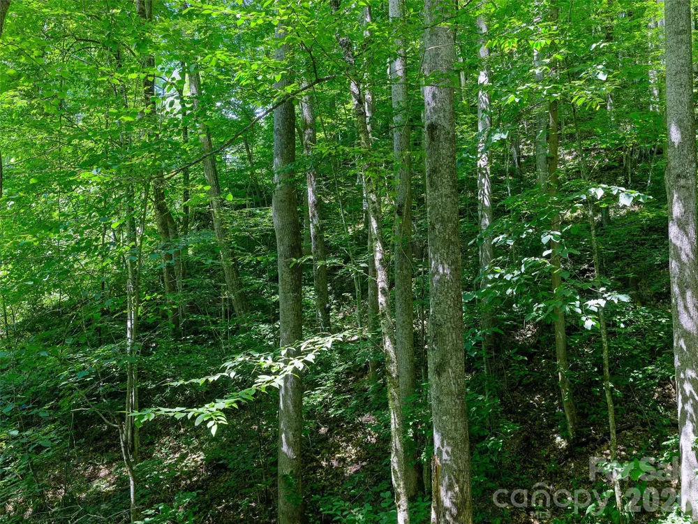 0000 Deep Gap Road Burnsville, NC 28714