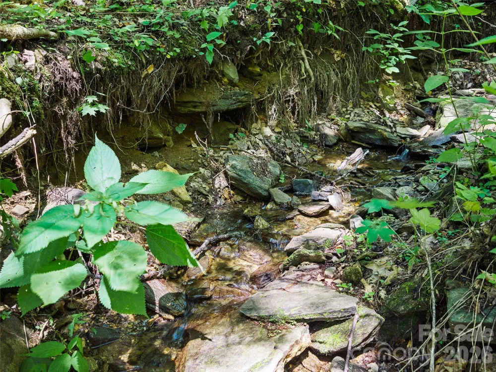 0000 Deep Gap Road Burnsville, NC 28714