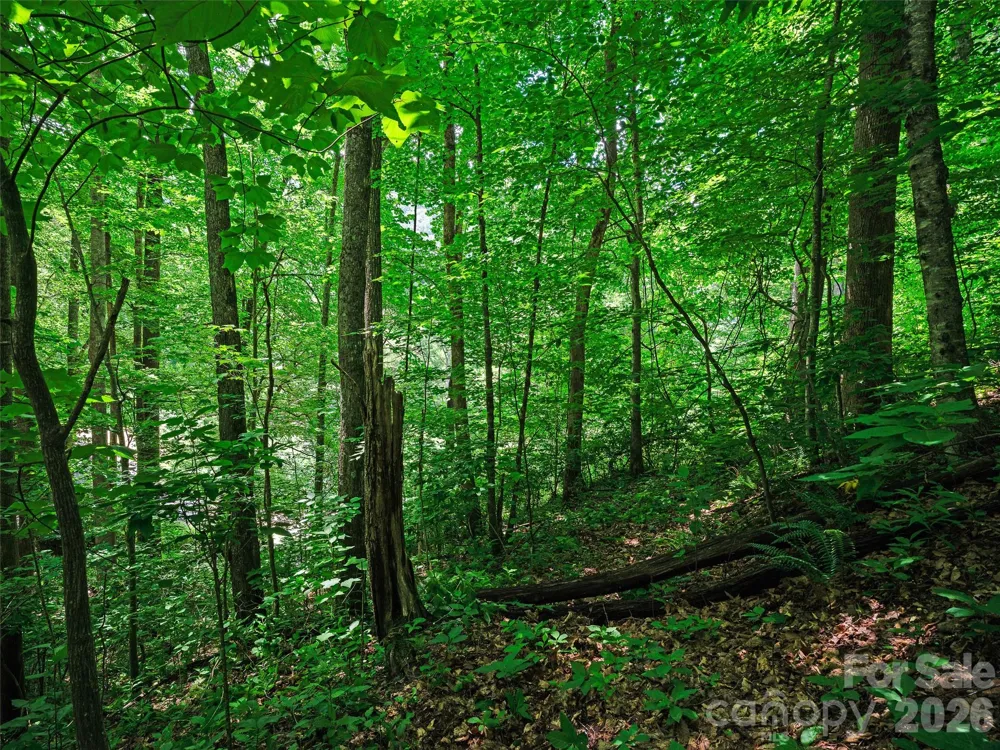 0000 Deep Gap Road Burnsville, NC 28714